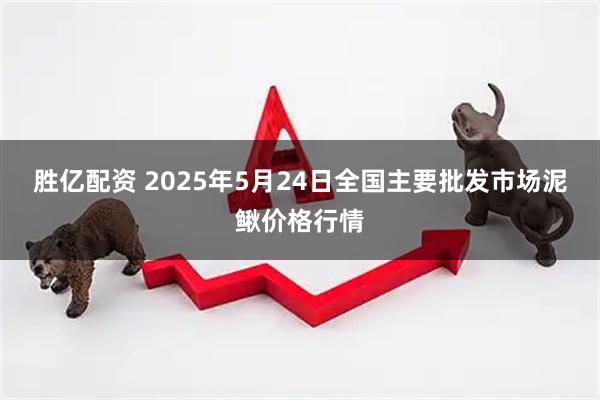胜亿配资 2025年5月24日全国主要批发市场泥鳅价格行情